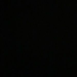 Meet your Posher, Kiley